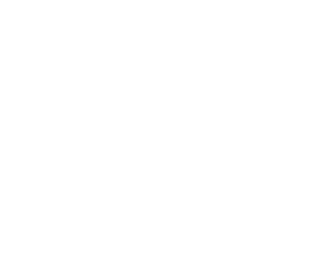 FEATURES of TOKYO FOREIGN EXCHANGE